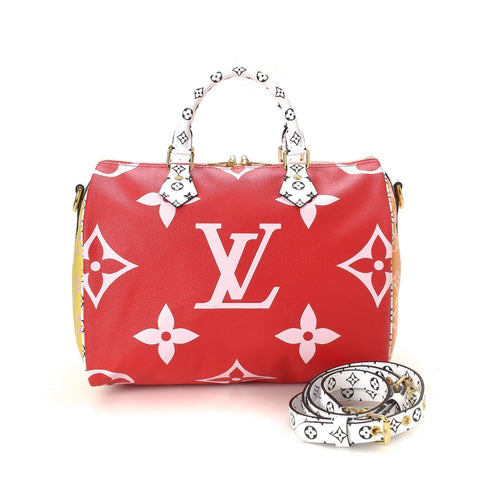 Limited Edition Monogram Geant Speedy 30