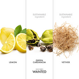 AZZARO Wanted Eau de Toilette