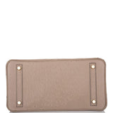 Hermes Gris Asphalte Ostrich Birkin 30cm Gold Hardware