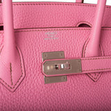 Hermes Bubblegum 5P Togo Birkin 30cm Palladium Hardware