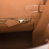 Hermes Birkin 25 Gris Asphalte and Gold Togo Brushed Gold Hardware