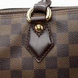 Louis Vuitton Damier Ebene Saleya PM Tote (SHF-18170)
