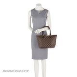 Louis Vuitton Damier Ebene Saleya PM Tote (SHF-18170)