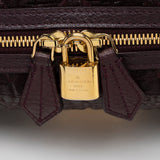 Louis Vuitton Limited Edition Leather Monogram Volupte Beaute Bag (SHF-18004)