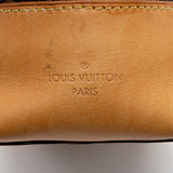 Louis Vuitton Monogram Canvas Berri PM Shoulder Bag (SHF-16601)
