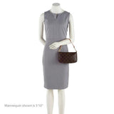 Louis Vuitton Monogram Canvas Pochette Accessoires (SHF-16314)