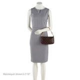 Louis Vuitton Monogram Canvas Pochette Accessoires (SHF-16901)