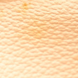 Louis Vuitton Monogram Petit Bucket (SHG-26574)