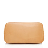 Louis Vuitton Vintage Monogram Canvas Alma PM Satchel (SHF-16875)