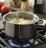 GE 30″ Freestanding Gas Range