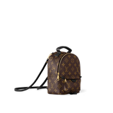 Louis Vuitton Palm Springs Mini