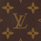 Louis Vuitton Palm Springs MM
