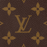 Louis Vuitton Palm Springs Mini