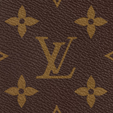Louis Vuitton Multi Pochette Accessoires