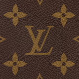 Louis Vuitton Multi Pochette Accessoires