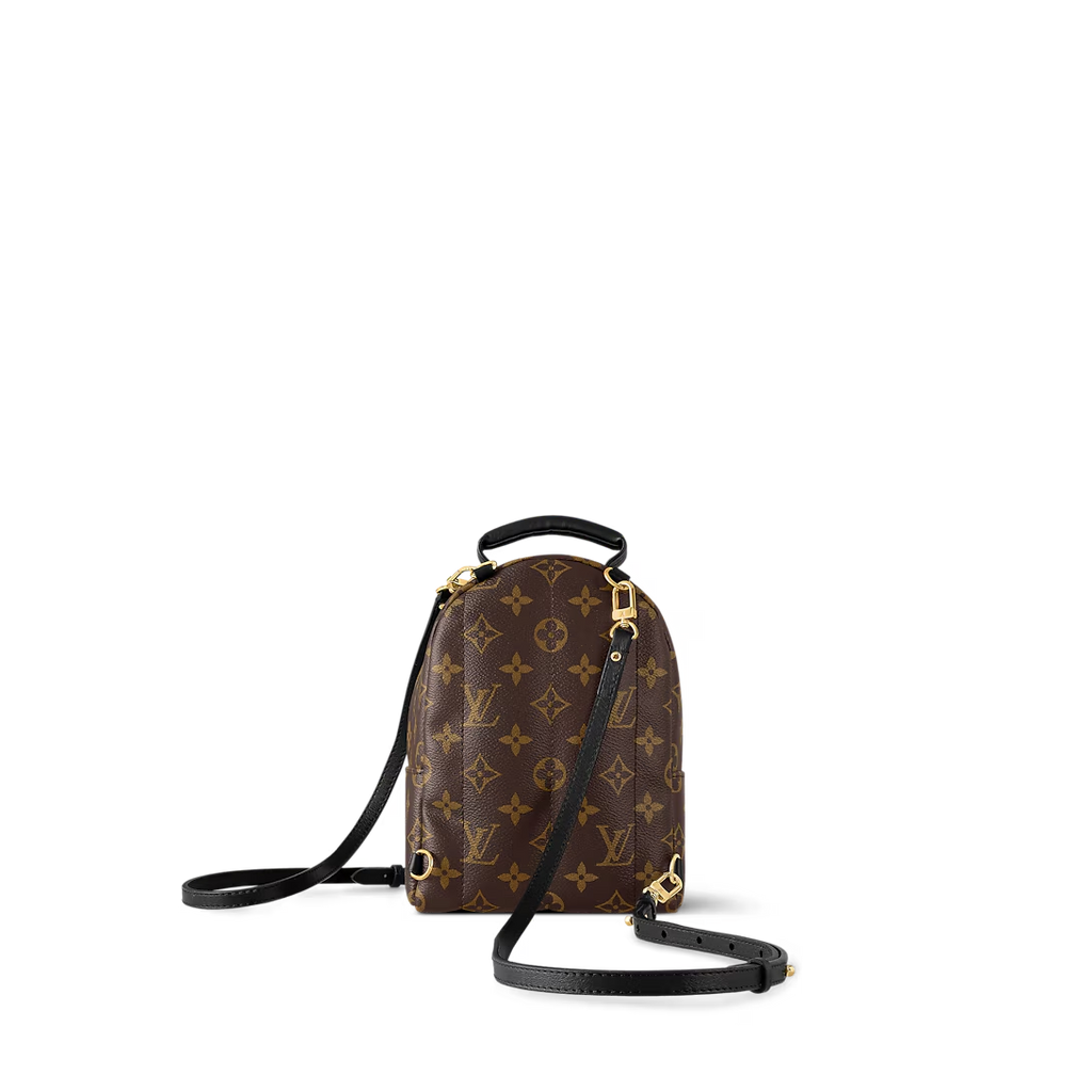 Louis Vuitton Palm Springs Mini