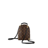 Louis Vuitton Palm Springs Mini
