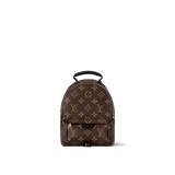 Louis Vuitton Palm Springs Mini